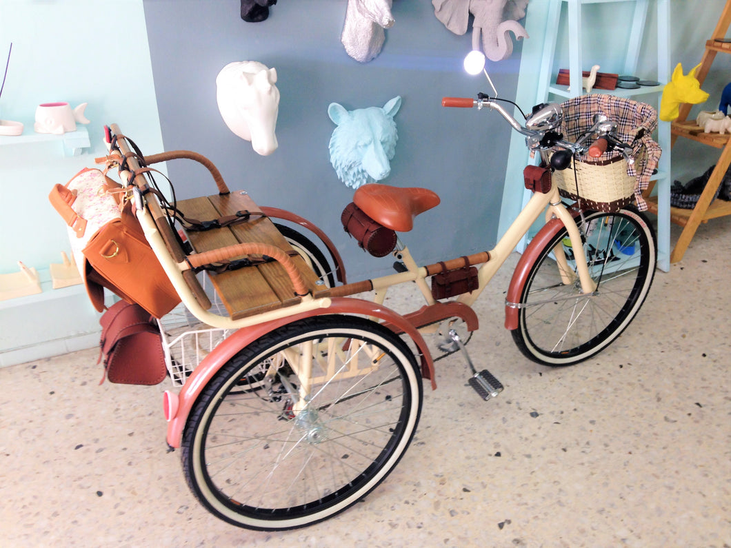 Tricicleta chocolat 2016 RIN RIN BICLAS