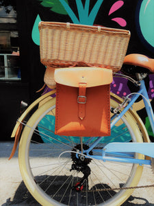 Morrissey D Arcade Fire 2.0 RIN RIN BICLAS