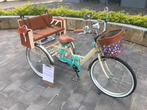 Tricicleta Natalia Alianovna Romanova 2021 RIN RIN BICLAS