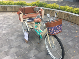 Tricicleta Natalia Alianovna Romanova 2021 RIN RIN BICLAS