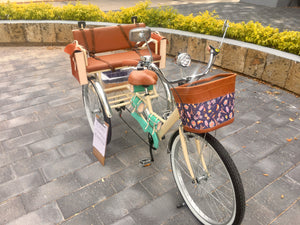 Tricicleta Natalia Alianovna Romanova 2021 RIN RIN BICLAS