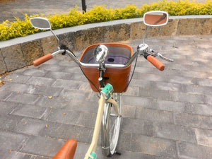 Tricicleta Natalia Alianovna Romanova 2021 RIN RIN BICLAS