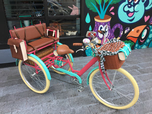 Tricicleta Hannah Baker 2020 RIN RIN BICLAS