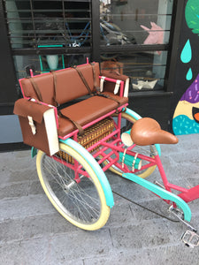 Tricicleta Hannah Baker 2020 RIN RIN BICLAS