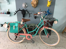 Cargar imagen en el visor de la galería, Hardluminium Sky Ferreira Ed Super RIN RIN BICLAS
