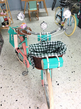 Cargar imagen en el visor de la galería, Hardluminium Sky Ferreira Ed Super RIN RIN BICLAS
