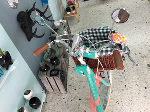 Hardluminium Sky Ferreira Ed Super RIN RIN BICLAS