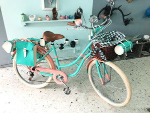 Hardluminium Sky Ferreira Ed Super RIN RIN BICLAS