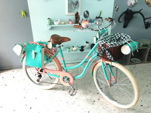 Hardluminium Sky Ferreira Ed Super RIN RIN BICLAS