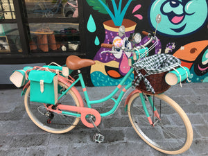Hardluminium Sky Ferreira Ed Super RIN RIN BICLAS
