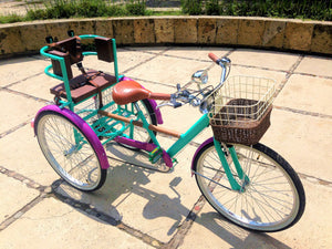 Tricicleta Cage the Elephant RIN RIN BICLAS