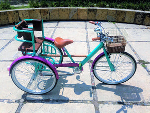 Tricicleta Cage the Elephant RIN RIN BICLAS