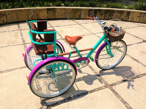 Tricicleta Cage the Elephant RIN RIN BICLAS