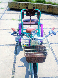 Tricicleta Cage the Elephant RIN RIN BICLAS