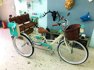 Tricicleta Grand Blanc RIN RIN BICLAS