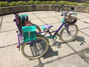 Tricicleta Rosa Púpura del Cairo 2019 RIN RIN BICLAS