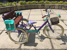 Cargar imagen en el visor de la galería, Tricicleta Rosa Púpura del Cairo 2019 RIN RIN BICLAS
