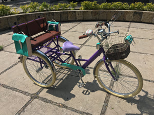 Tricicleta Rosa Púpura del Cairo 2019 RIN RIN BICLAS