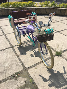 Tricicleta Rosa Púpura del Cairo 2019 RIN RIN BICLAS