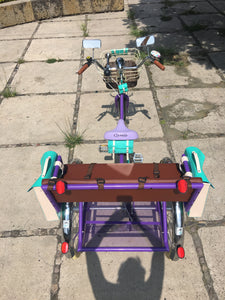 Tricicleta Rosa Púpura del Cairo 2019 RIN RIN BICLAS