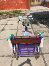Cargar imagen en el visor de la galería, Tricicleta Rosa Púpura del Cairo 2019 RIN RIN BICLAS
