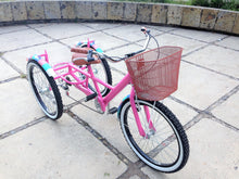Cargar imagen en el visor de la galería, Tricicleta Plataforma Everlasting Fun 2017 RIN RIN BICLAS
