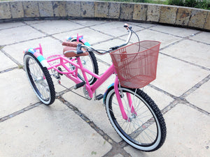 Tricicleta Plataforma Everlasting Fun 2017 RIN RIN BICLAS