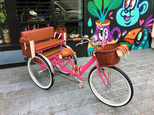 Tricicleta Pink Flamingo 2019 RIN RIN BICLAS