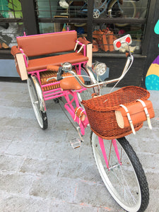 Tricicleta Pink Flamingo 2019 RIN RIN BICLAS