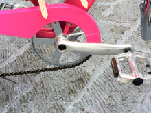 Cargar imagen en el visor de la galería, Tricicleta Pink Flamingo 2019 RIN RIN BICLAS
