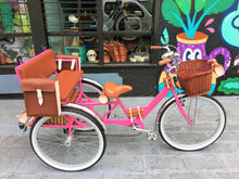 Cargar imagen en el visor de la galería, Tricicleta Pink Flamingo 2019 RIN RIN BICLAS
