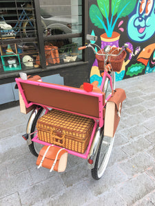 Tricicleta Pink Flamingo 2019 RIN RIN BICLAS