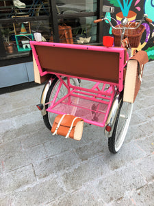Tricicleta Pink Flamingo 2019 RIN RIN BICLAS