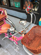 Cargar imagen en el visor de la galería, Tricicleta Pink Flamingo 2019 RIN RIN BICLAS
