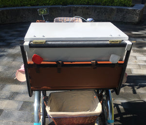 Food bike Jalón Tricicleta Combuchas 2021 Rin Rin Biclas