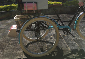 Food bike Jalón Tricicleta Combuchas 2021 Rin Rin Biclas