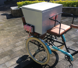 Food bike Jalón Tricicleta Combuchas 2021 Rin Rin Biclas