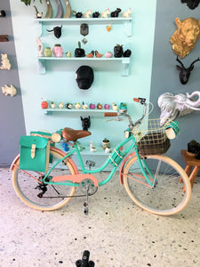 Slim D Sky Ferreira 3.0 RIN RIN BICLAS