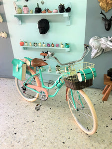 Slim D Sky Ferreira 3.0 RIN RIN BICLAS