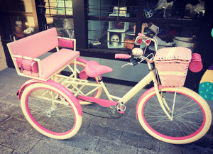 Tricicleta 2nd World 2020 RIN RIN BICLAS