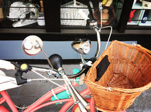 Cargar imagen en el visor de la galería, Curve D Coco 2018 RIN RIN BICLAS
