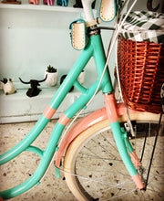 Cargar imagen en el visor de la galería, Hardluminium Sky Ferreira Ed Super RIN RIN BICLAS
