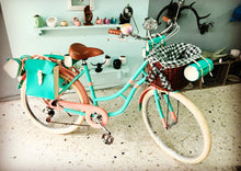 Cargar imagen en el visor de la galería, Hardluminium Sky Ferreira Ed Super RIN RIN BICLAS

