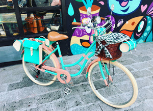 Hardluminium Sky Ferreira Ed Super RIN RIN BICLAS