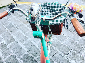 Hardluminium Sky Ferreira Ed Super RIN RIN BICLAS