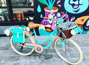 Hardluminium Sky Ferreira Ed Super RIN RIN BICLAS