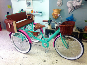 Tricicleta Cage the Elephant 2.0 RIN RIN BICLAS