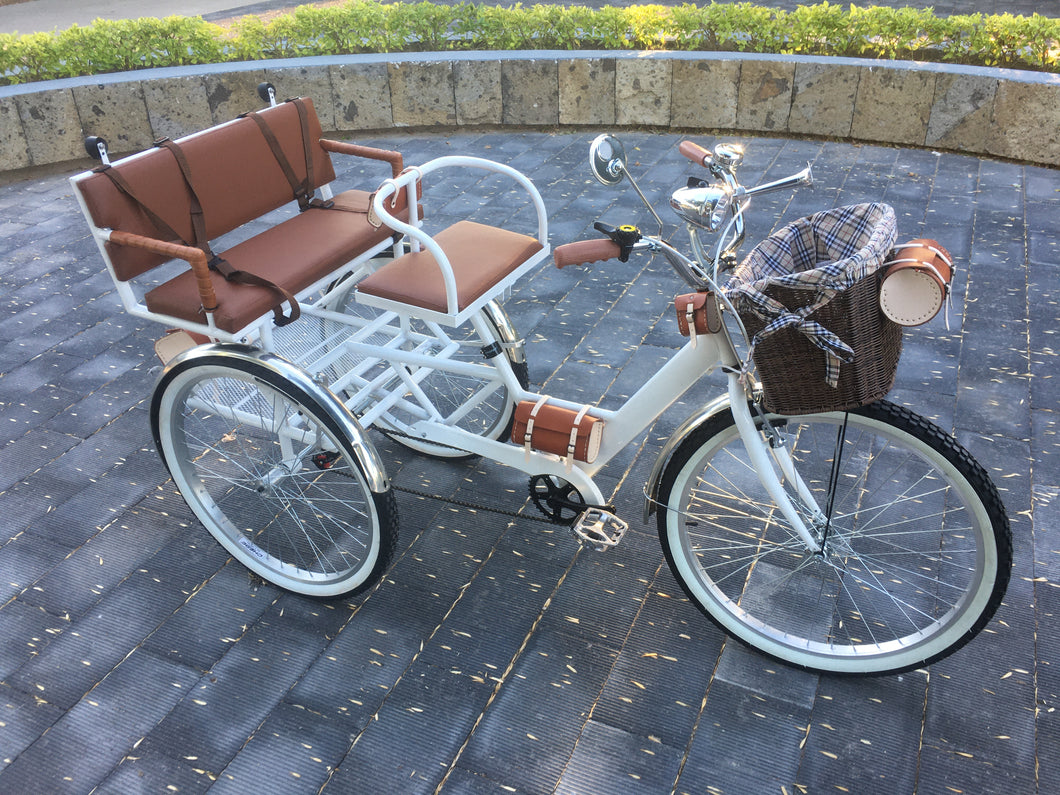 Tricicleta Noches Blancas 2022 RIN RIN BICLAS