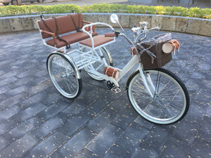 Tricicleta Noches Blancas 2022 RIN RIN BICLAS
