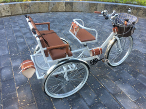 Tricicleta Noches Blancas 2022 RIN RIN BICLAS